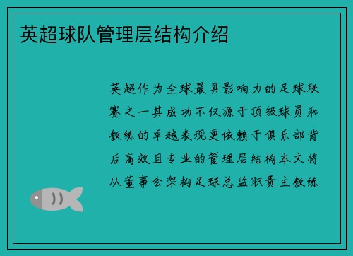 英超球队管理层结构介绍